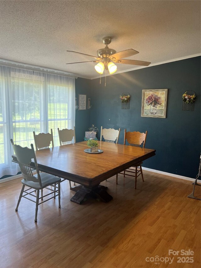 33343 Old Salisbury Rd, Albemarle, NC 28001 - photo 5