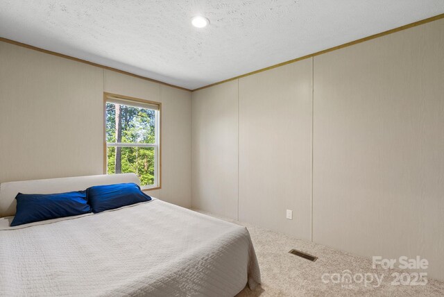 102 Kiwassa Ln, Hendersonville, NC 28792 - photo 20