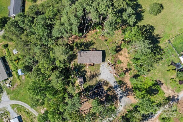 102 Kiwassa Ln, Hendersonville, NC 28792 - photo 24