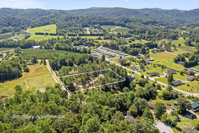 102 Kiwassa Ln, Hendersonville, NC 28792 - photo 27