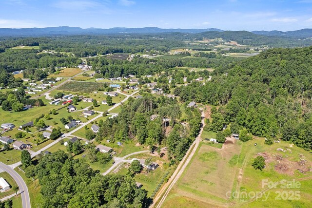 102 Kiwassa Ln, Hendersonville, NC 28792 - photo 29