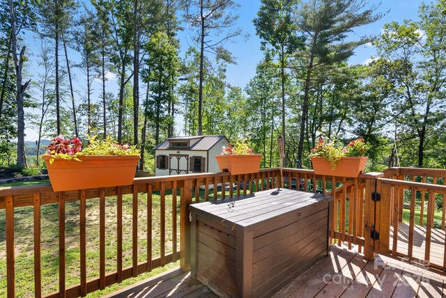 102 Kiwassa Ln, Hendersonville, NC 28792 - photo 32