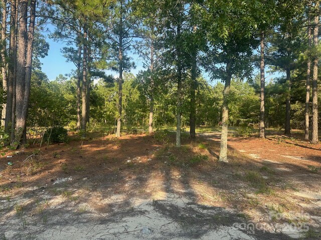 2356 Beaver Dam Rd, Cassatt, SC 29032 - photo 4