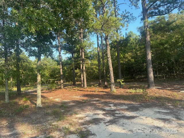2356 Beaver Dam Rd, Cassatt, SC 29032 - photo 5