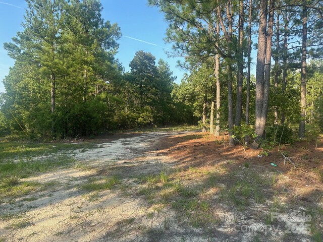 2356 Beaver Dam Rd, Cassatt, SC 29032 - photo 6