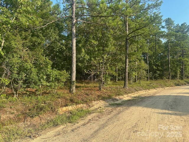 2356 Beaver Dam Rd, Cassatt, SC 29032 - photo 7