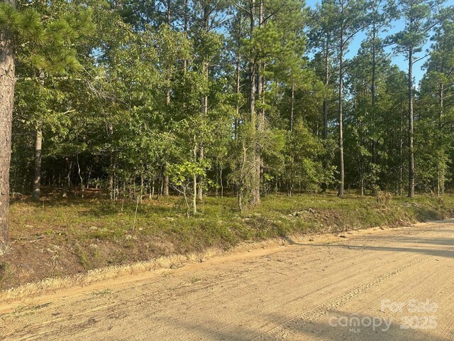 2356 Beaver Dam Rd, Cassatt, SC 29032 - photo 8