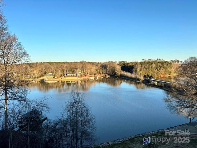 4371 Reed Creek Dr, Sherrills Ford, NC 28673 - water view with a heavily wooded area