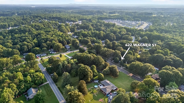 422 Wagner St, Troutman, NC 28166 - aerial view of a forest