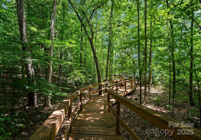 11202 Mountain Pine Dr, Charlotte, NC 28214 - photo 41