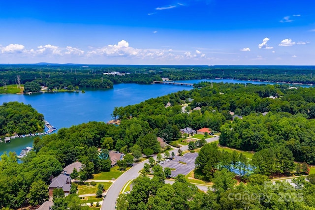 11202 Mountain Pine Dr, Charlotte, NC 28214 - photo 46