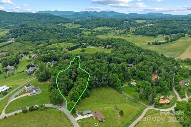 99999 Oak Trails Pass, Leicester, NC 28748 - photo 1
