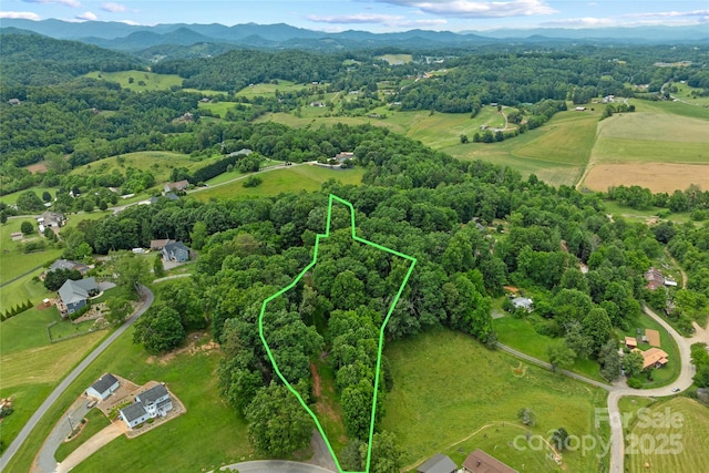99999 Oak Trails Pass, Leicester, NC 28748 - photo 2