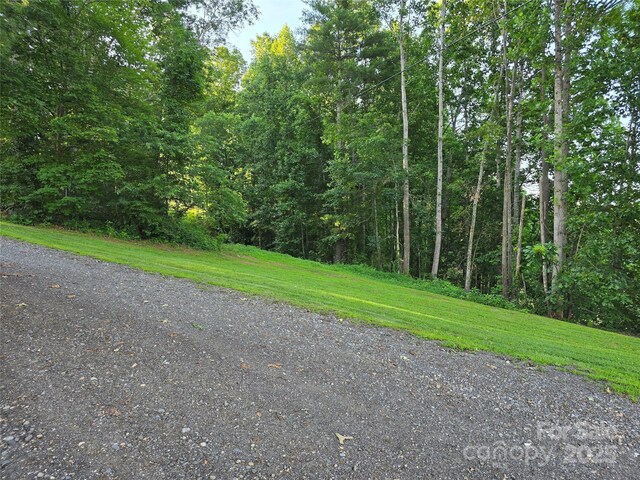 99999 Oak Trails Pass, Leicester, NC 28748 - photo 3