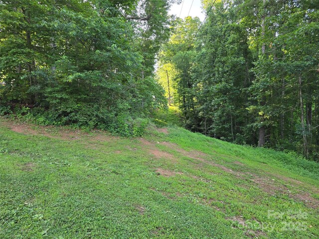 99999 Oak Trails Pass, Leicester, NC 28748 - photo 5