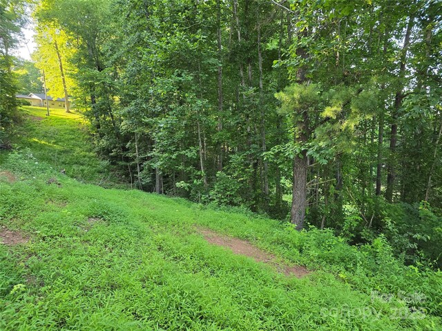 99999 Oak Trails Pass, Leicester, NC 28748 - photo 6