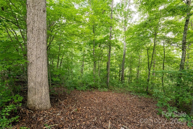 99999 Oak Trails Pass, Leicester, NC 28748 - photo 7