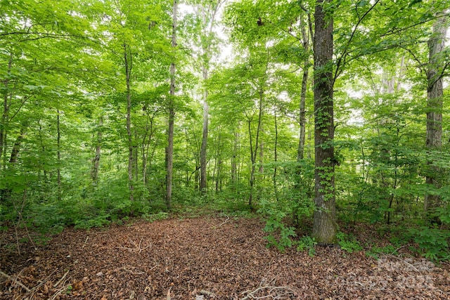 99999 Oak Trails Pass, Leicester, NC 28748 - photo 8
