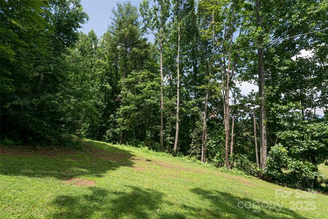99999 Oak Trails Pass, Leicester, NC 28748 - photo 9