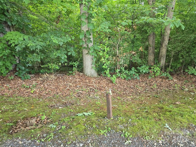 99999 Oak Trails Pass, Leicester, NC 28748 - photo 10