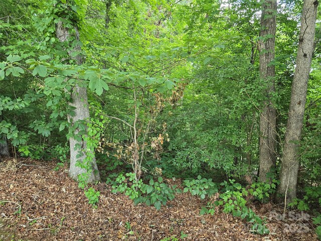 99999 Oak Trails Pass, Leicester, NC 28748 - photo 11