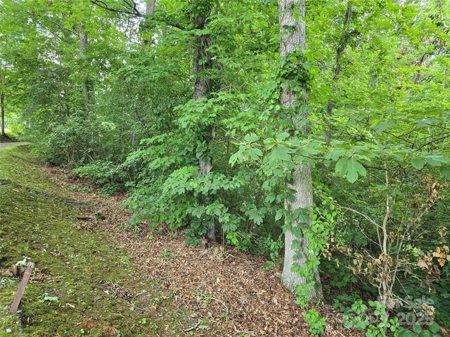 99999 Oak Trails Pass, Leicester, NC 28748 - photo 12