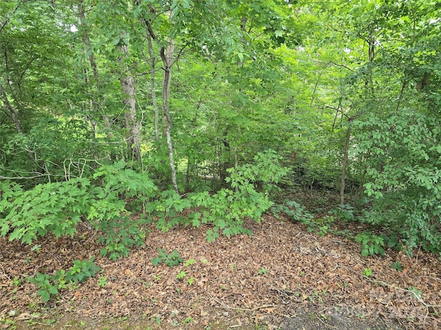 99999 Oak Trails Pass, Leicester, NC 28748 - photo 13