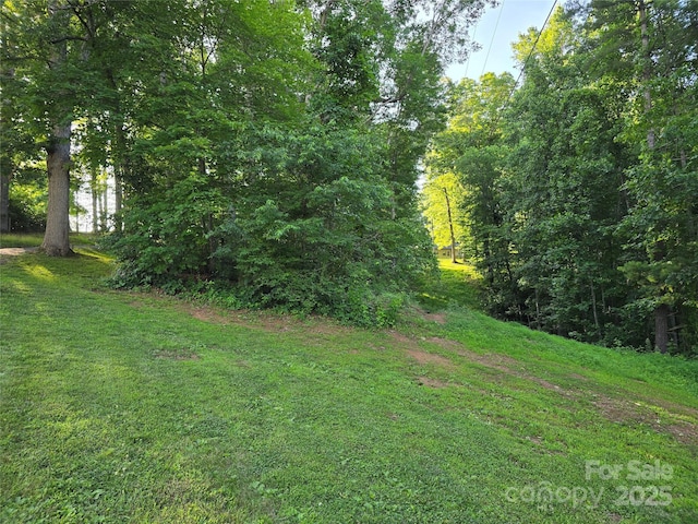 99999 Oak Trails Pass, Leicester, NC 28748 - photo 14