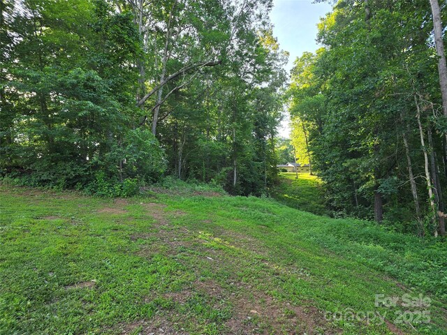 99999 Oak Trails Pass, Leicester, NC 28748 - photo 15
