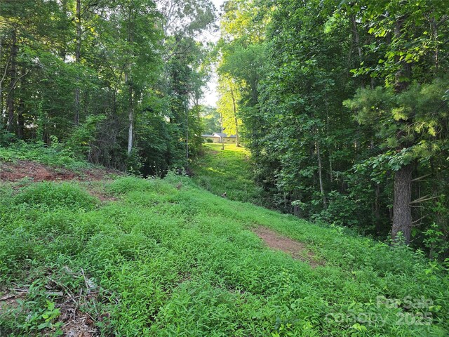 99999 Oak Trails Pass, Leicester, NC 28748 - photo 16