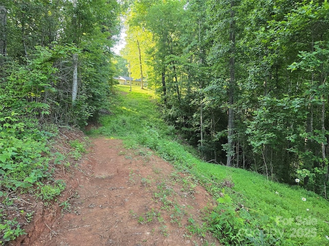 99999 Oak Trails Pass, Leicester, NC 28748 - photo 17