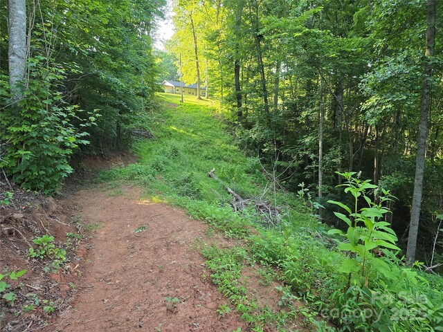 99999 Oak Trails Pass, Leicester, NC 28748 - photo 18