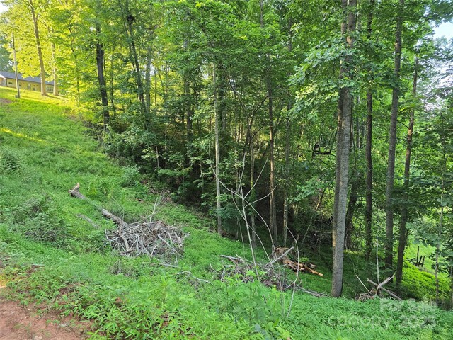 99999 Oak Trails Pass, Leicester, NC 28748 - photo 19