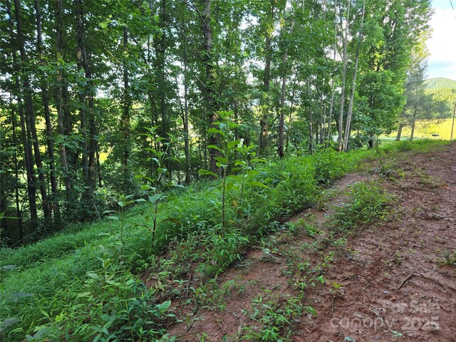 99999 Oak Trails Pass, Leicester, NC 28748 - photo 20