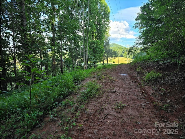 99999 Oak Trails Pass, Leicester, NC 28748 - photo 21