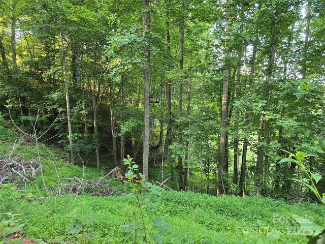 99999 Oak Trails Pass, Leicester, NC 28748 - photo 22