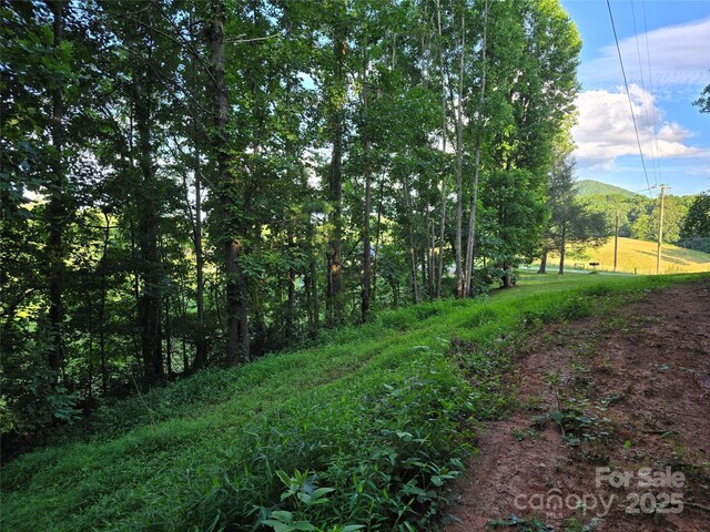 99999 Oak Trails Pass, Leicester, NC 28748 - photo 23