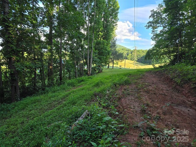 99999 Oak Trails Pass, Leicester, NC 28748 - photo 24