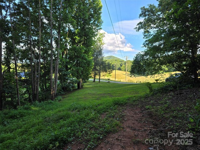 99999 Oak Trails Pass, Leicester, NC 28748 - photo 25