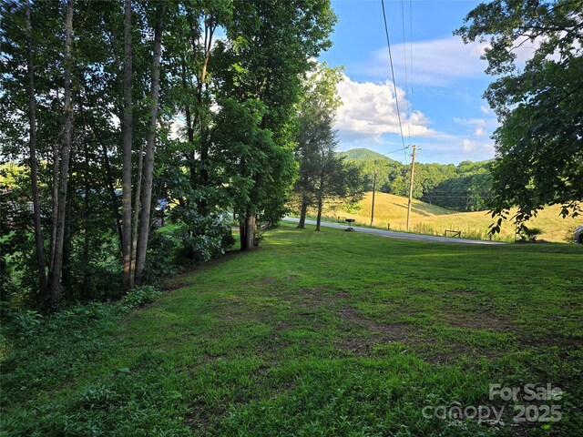 99999 Oak Trails Pass, Leicester, NC 28748 - photo 26