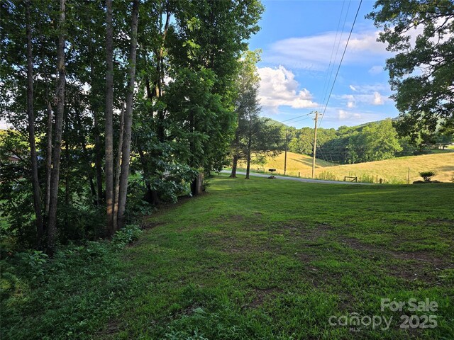 99999 Oak Trails Pass, Leicester, NC 28748 - photo 27