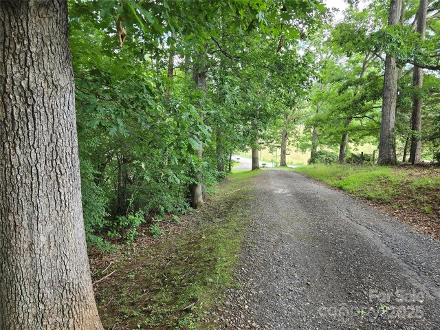 99999 Oak Trails Pass, Leicester, NC 28748 - photo 28