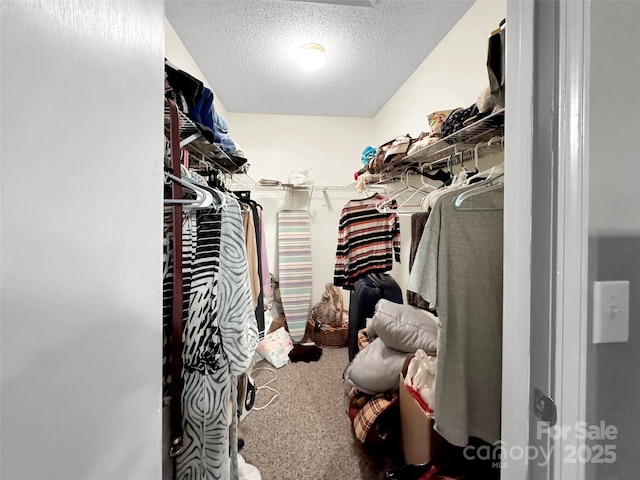 57 Copperhead Cv, Sylva, NC 28779 - spacious closet with carpet floors