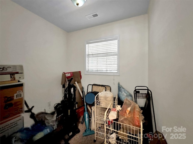 57 Copperhead Cv, Sylva, NC 28779 - view of storage area