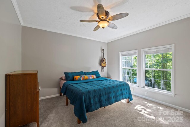 99 Indian Hill Dr, Leicester, NC 28748 - photo 11