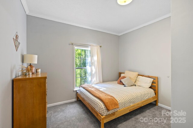 99 Indian Hill Dr, Leicester, NC 28748 - photo 13