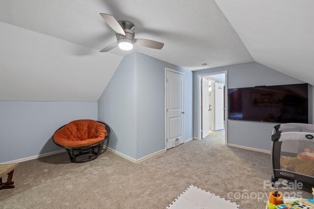 99 Indian Hill Dr, Leicester, NC 28748 - photo 16