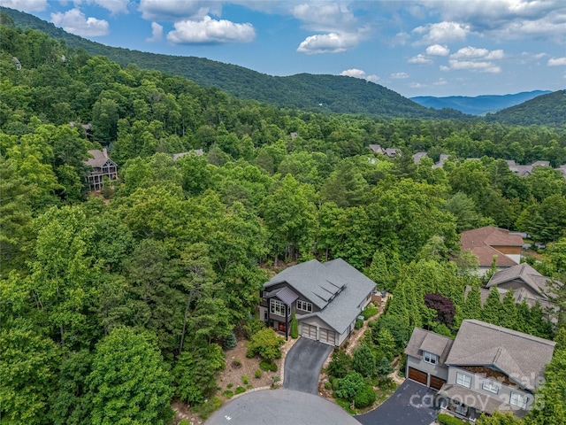 3 Turkey Roost Ct, Fairview, NC 28730 - photo 2
