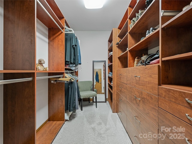 3 Turkey Roost Ct, Fairview, NC 28730 - photo 21