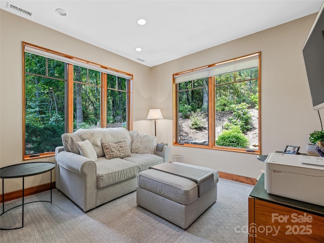 3 Turkey Roost Ct, Fairview, NC 28730 - photo 25